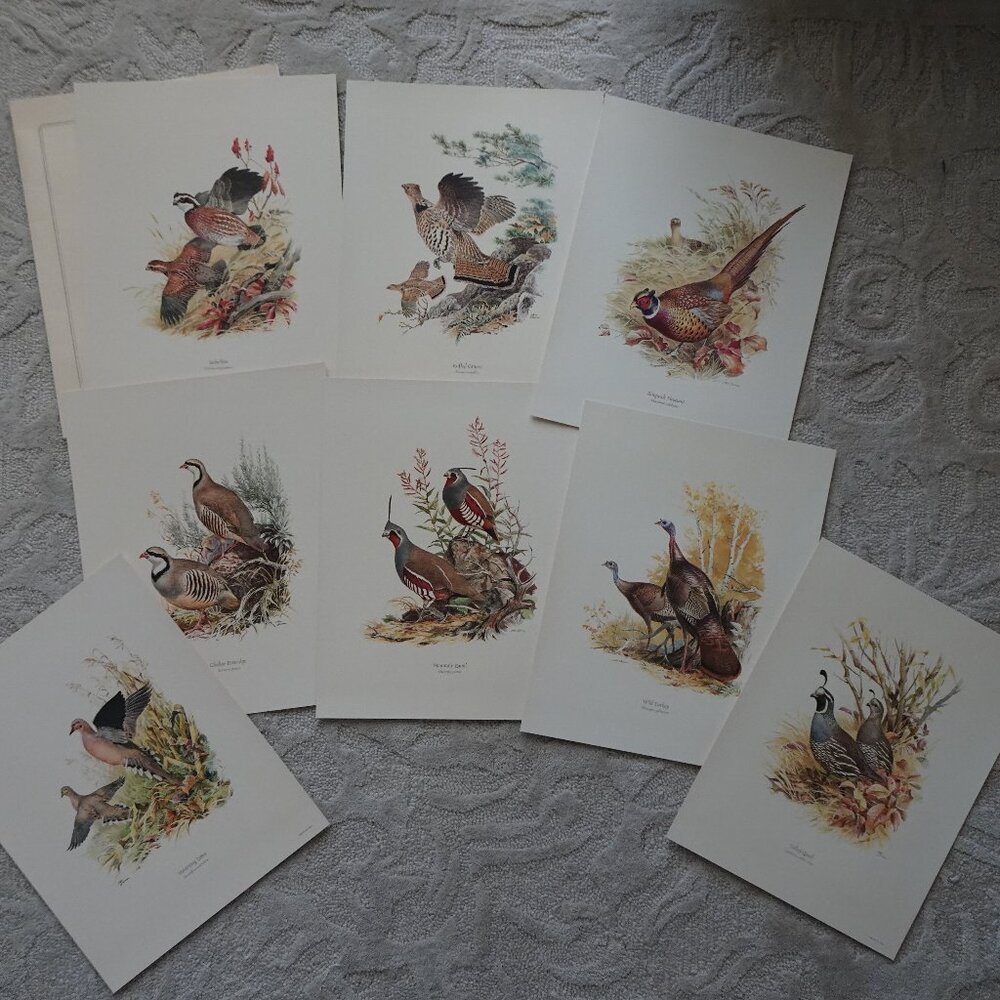 Field & Stream's Portfolio of Game Birds Painted by Ned Smith Limited Edition